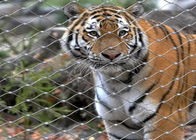 7x19 Tiger Metal 1.2mm Paslanmaz Çelik Hayvanat Bahçesi Mesh Muhafaza Netleştirme X Eğilim Şekilli