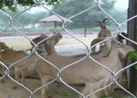 Hayvan Koruma Paslanmaz Çelik Kafes Örgüsü / Hayvanat Bahçesi Hasır Eskrim Anti-Pas