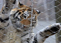 7x7 Tiger Metal Paslanmaz Çelik Hayvanat Bahçesi Mesh Muhafaza Netleştirme X Eğilim Şeklinde