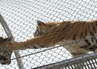 7x7 Tiger Metal Paslanmaz Çelik Hayvanat Bahçesi Mesh Muhafaza Netleştirme X Eğilim Şeklinde